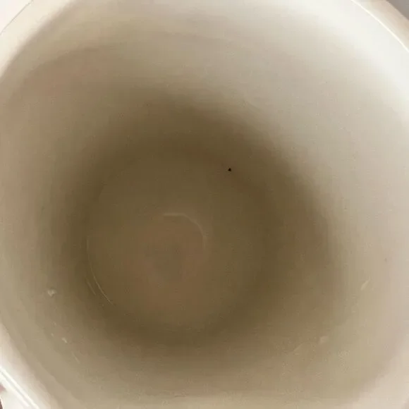 NEW Ciroa Oiseau 48oz Pitcher - Picture 6 of 6